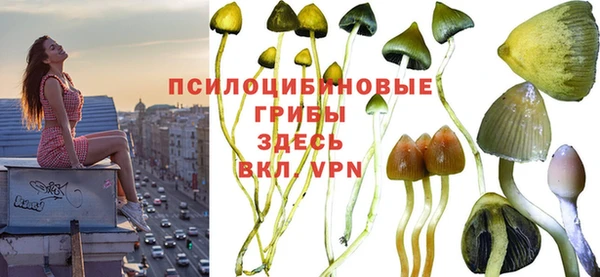мяу мяу мука Нефтекумск