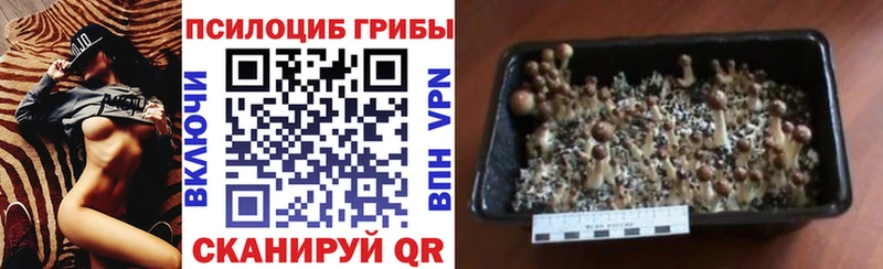 Псилоцибиновые грибы ЛСД сколько стоит это наркотические препараты Уяр